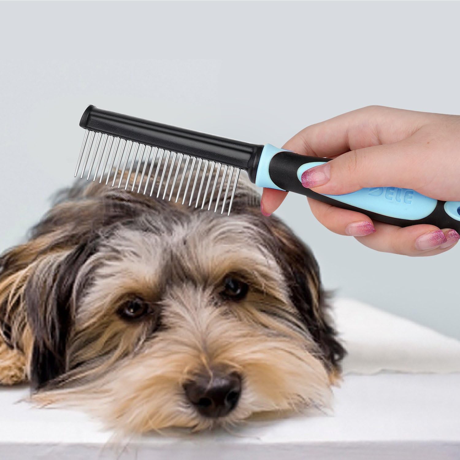 dog comb with blade