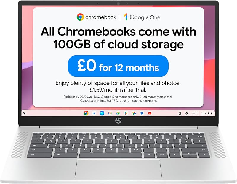 HP Chromebook 14 N100 4GB RAM 128GB SSD 14" HD Chrome OS Glacier Silver