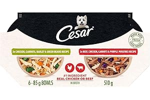 CESAR Wholesome Bowls Wet Dog Food – Chicken, Carrots, Barley & Green Beans - Beef, Chicken, Carrots & Purple Potato, 6x85g V