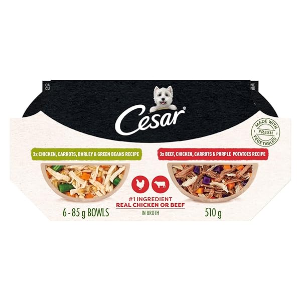 CESAR WHOLESOME BOWLS ADULT WET DOG FOOD, CHICKEN,...