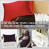 ZIMASILK 100% Mulberry Silk Pillowcase 600TC 6A Eggplant 50x75 cm view 6