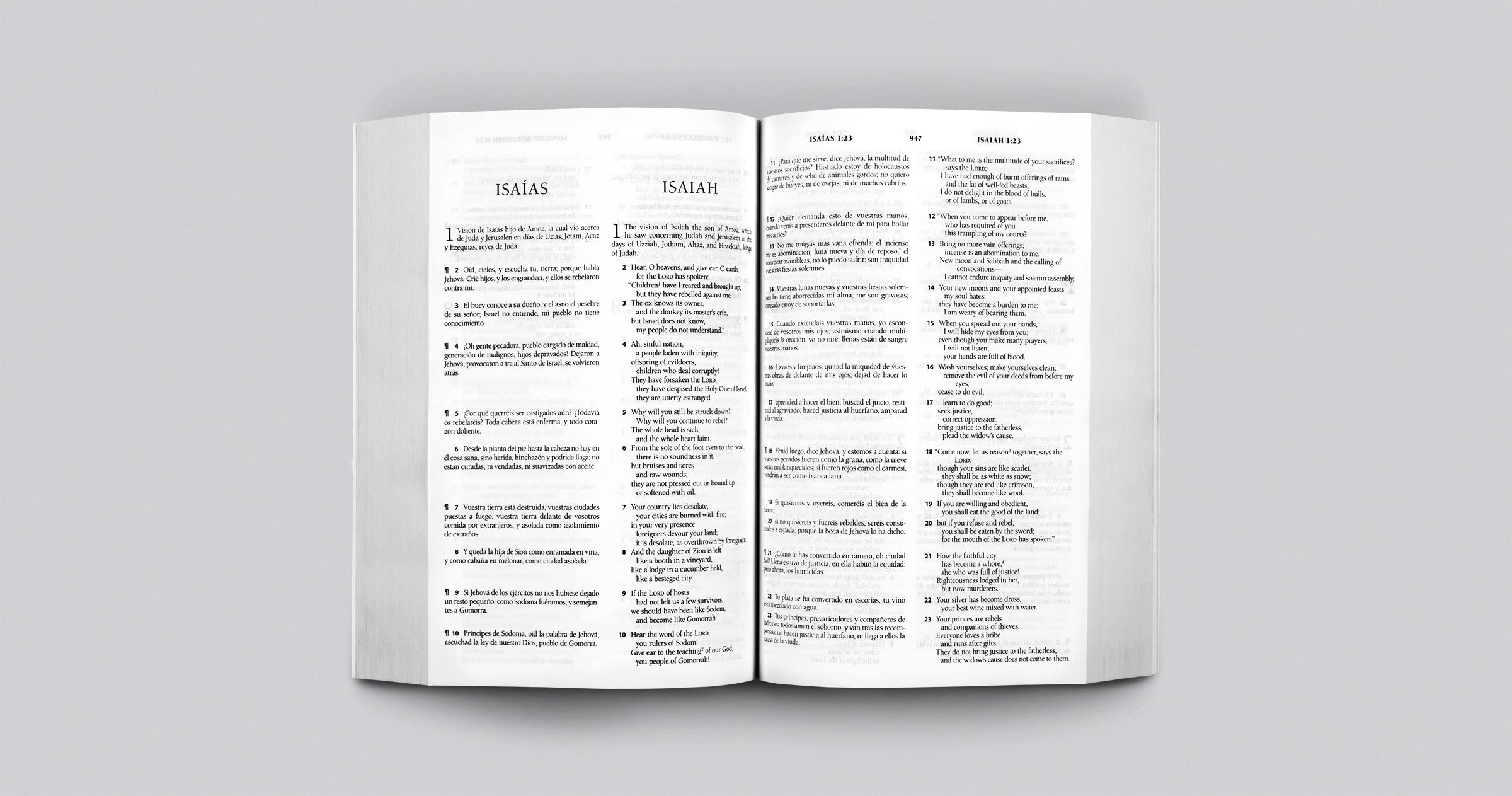 ESV Spanish/English Parallel Bible (La Santa Biblia RVR 1960 / The Holy Bible ESV, Paperback) (English and Spanish Edition)