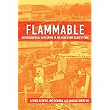Flammable: Environmental Suffering in an Argentine Shantytown