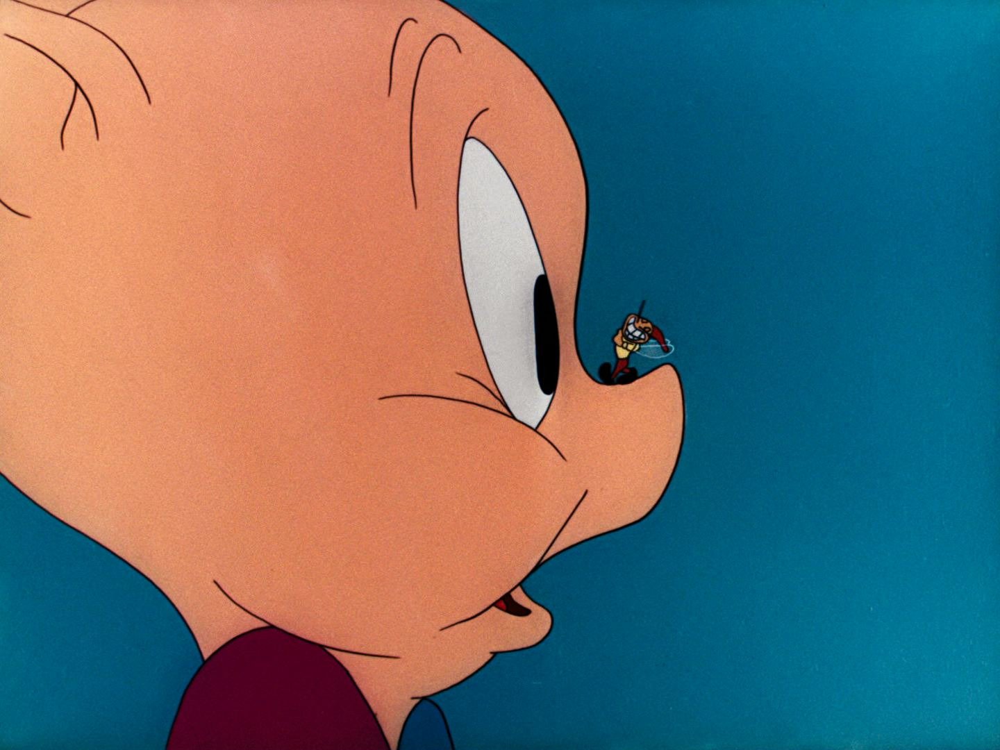Watch Porky Pig Season 1 Prime Video