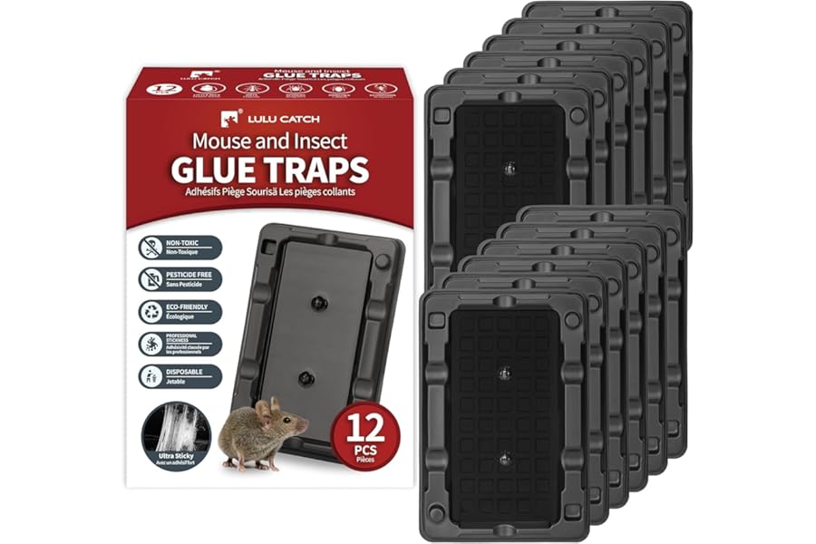 LULUCATCH Mouse & Insect Traps 12 Pack, Heavier Sticky Traps with Non-Toxic Glue for Small Mice & Insects. Sticky Mouse Traps Indoor for Home, Easy to Set