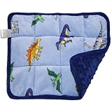 MAXTID Weighted Lap Pad for Kids 5 Pound Travel Size Mini Weighted Lap Blanket Blue Dinosaur 16"x22" for Kids Boys Sensory Gifts