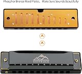 EastRock 10 Hole Blues Harmonica in C with Case and Cleaning Cloth view 3