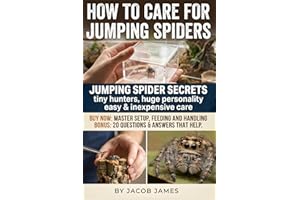 How to Care for Jumping Spiders: A Practical Jumping Spider Care Guide for Beginners: Setup, Feeding, Molting, Breeding and D