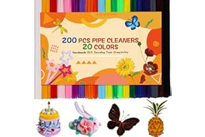 ZLULARY 200 Pcs Pipe Cleaners, 20 Colors Pipe Cleaner Craft, Black Pipe Cleaners Bulk Chenille Stems Craft Supplies for DIY Cleaning Home Decorations