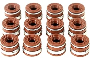 MPLUS OE SOLUTION AUTOPARTS MPLUS SS70819-1 Valve Stem Seal Set Compatible with 1989-1998 for Dodge D350 D250 Ram2500 Ram3500 5.9L L6 VIN D