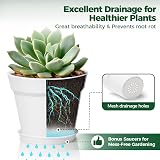 T4U 12.5cm Plastic Plant Pots 6-Pack with Saucer White Indoor Outdoor view 3