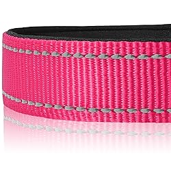 Joytale Reflective Dog Collar,Soft Neoprene Padded