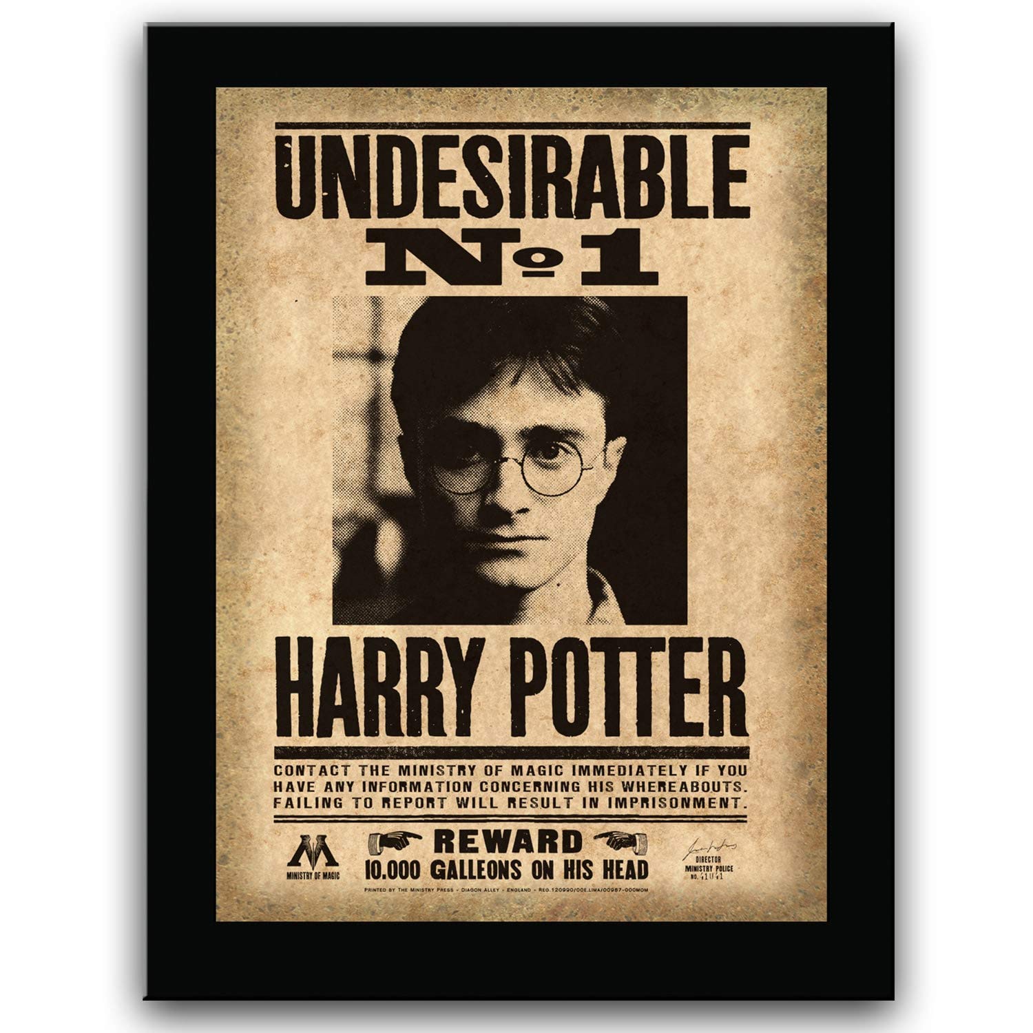 The Noble Collection Harry Potter 12in (31cm) Wood-Mounted Ministry of Magic Wanted Reward Poster Wall Art - Harry Potter Film Set Movie Props Gifts for Adults