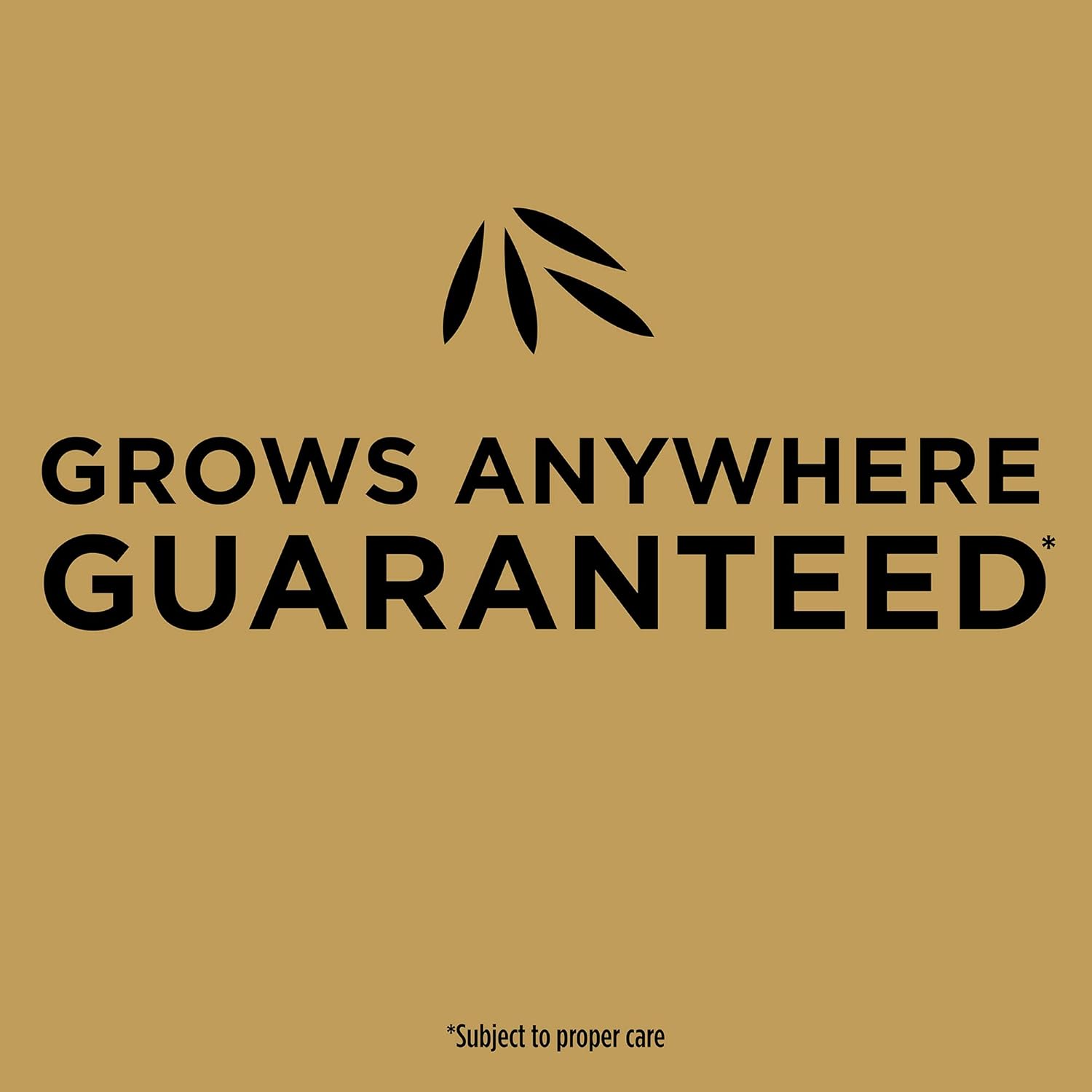 Scotts EZ Seed Patch and Repair Sun and Shade, 10 lb. - Combination Mulch, Seed and Fertilizer, Tackifier Reduces Seed Wash-Away - Full Sun, Dense Shade, High Traffic Areas - Covers up to 225 sq. ft. : Garden & Outdoor