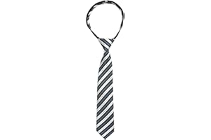 Spring Notion Boys' Pre-tied Woven Zipper Tie