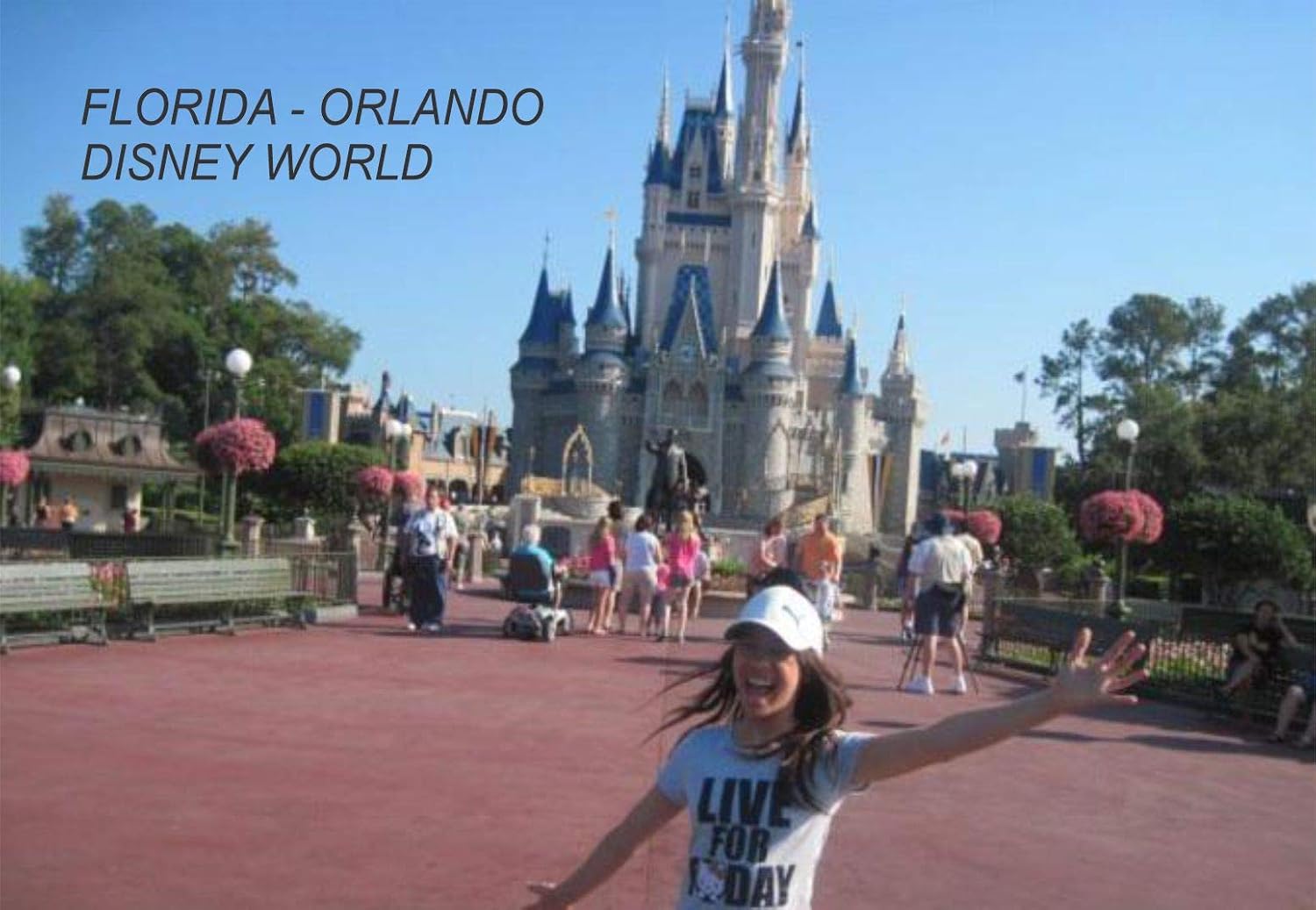 Which Is The Best Disneyworld Orlando Magnets For Refrigerator