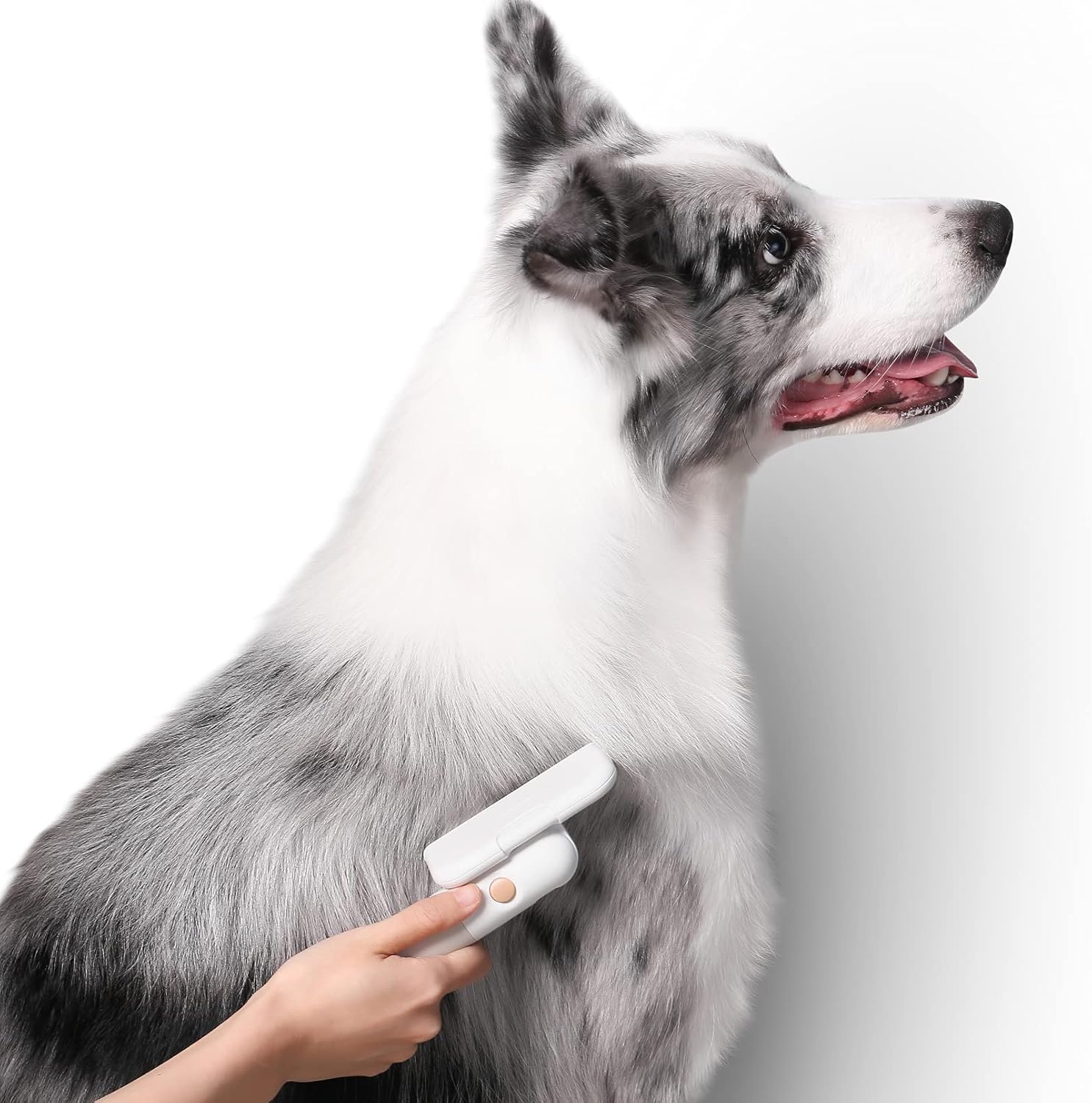pidan Pet Brush for Deep De-Shedding, Dog and Cat Grooming Brush for Long-Short Haired Pet, Effectively Reduces Shedding, Adjustable Angle Fur Comb-Short Teeth: Beauty