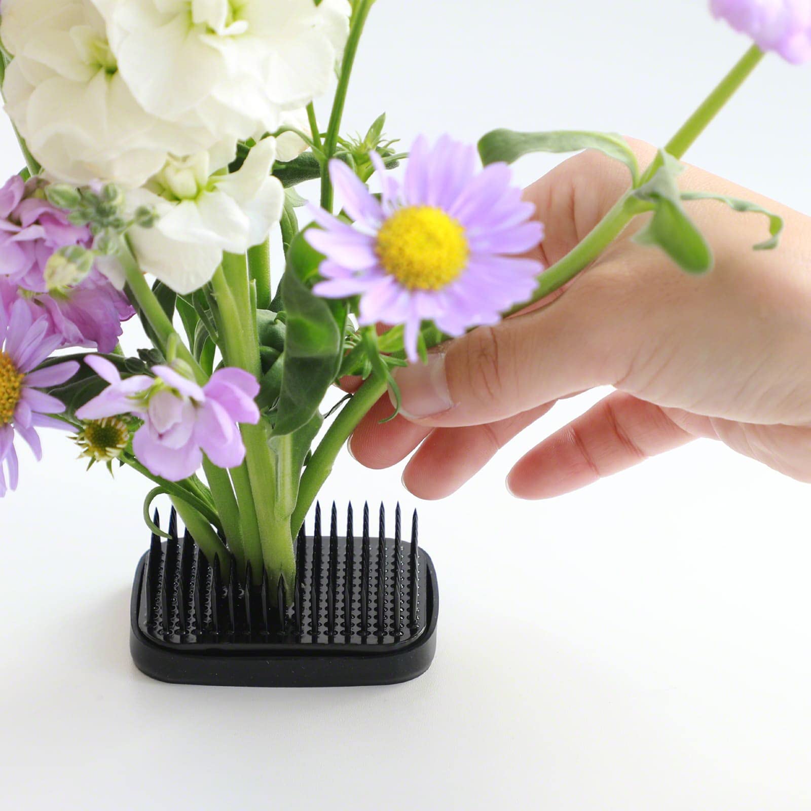 View 7