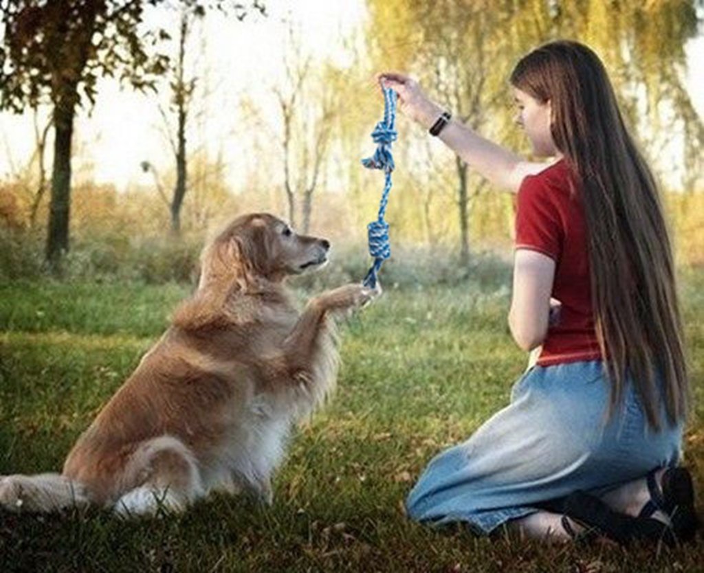 3 Sets Pet Toy, Dog Rope Toys Dog Chew Toy, Braided Rope Dog Toy, for Small and Medium Dogs