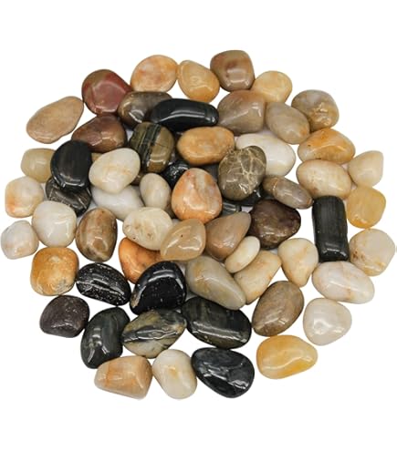 Amazon.com: CNZ 裝飾河流燈彩色鵝卵石石,適用於淡水魚、動物植物