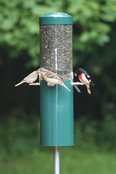Amazon Com Birds Choice Classic Bird Feeder With Built In