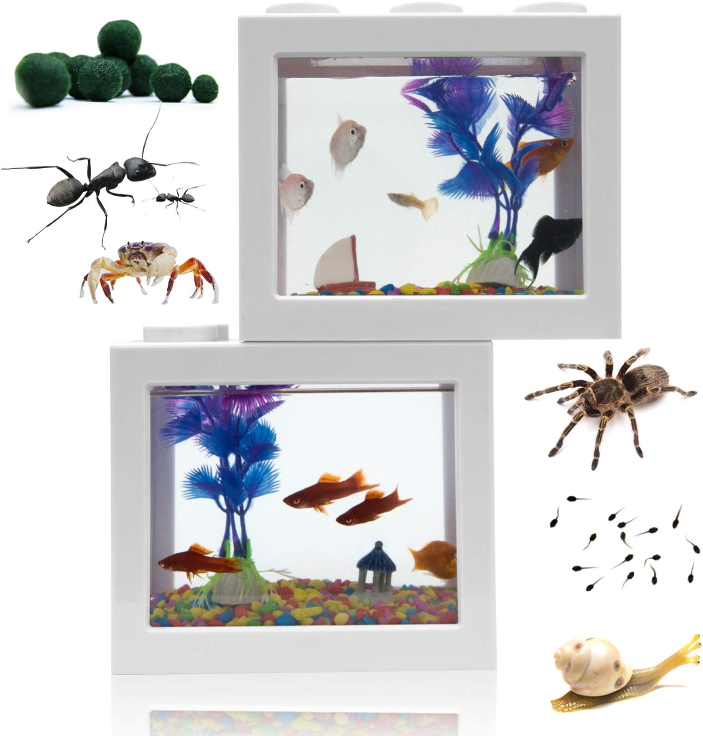 The 10 Best Fish Aquarium Building Kit