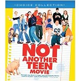 Not Another Teen Movie