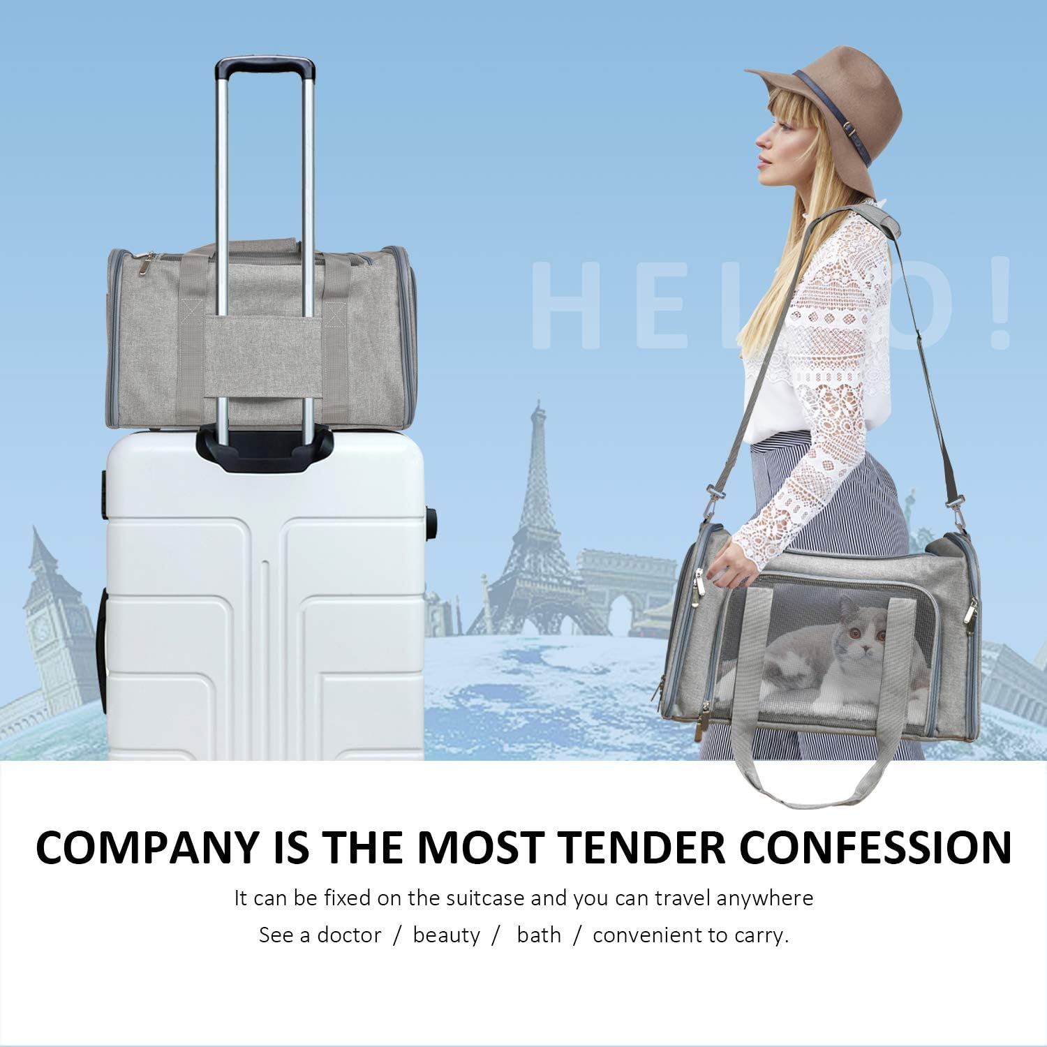 Henkelion Cat Carriers Dog Carrier Pet Carrier for Small Medium Cats Dogs Puppies up to 15 Lbs, TSA Airline Approved Small Dog Carrier Soft Sided, Collapsible Waterproof Travel Puppy Carrier - Grey : Pet Supplies