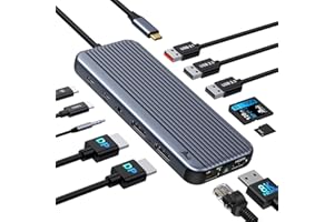 USB C to Dual DisplayPort 4K Docking Station Adapter, 12-in-1 LIONWEI 10Gbps USB C Hub Dock with 2 DP, HDMI, USB 3.1, Ethernet Port, Audio, SD/TF 4.0 Slot for Thunderbolt Laptop