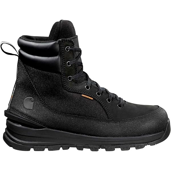 Amazon.com | Carhartt Men display picture 1