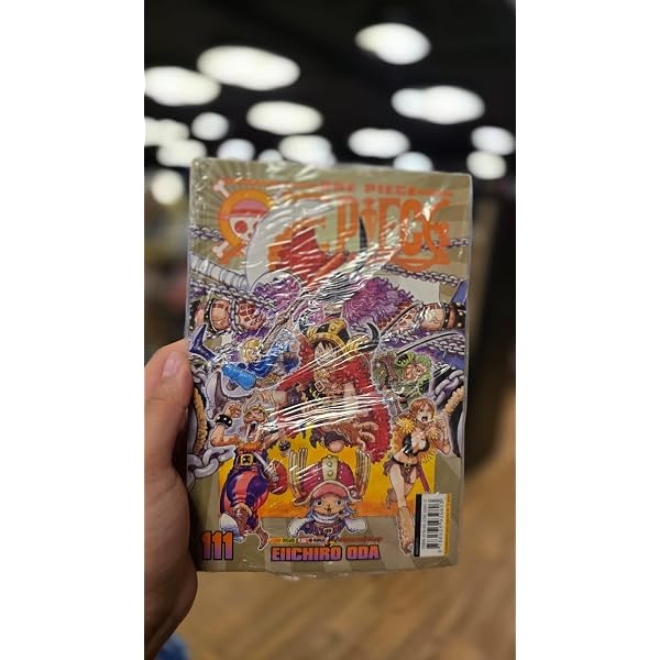 One Piece Vol. 111 | Amazon.com.br
