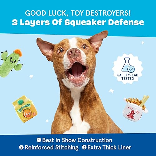 Barkbox Dog Toy in Interactive, Plush Exterior with Squeaker