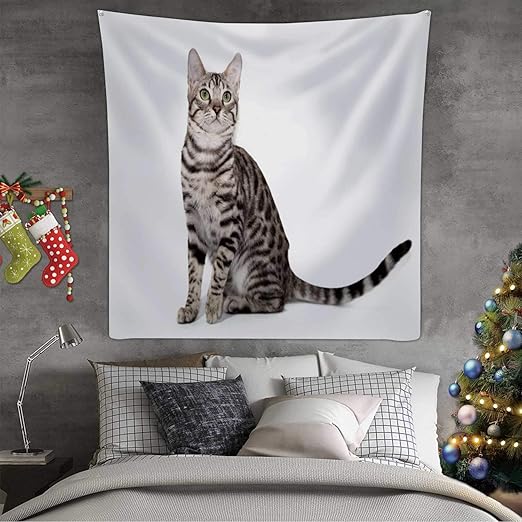 white and grey bengal cat