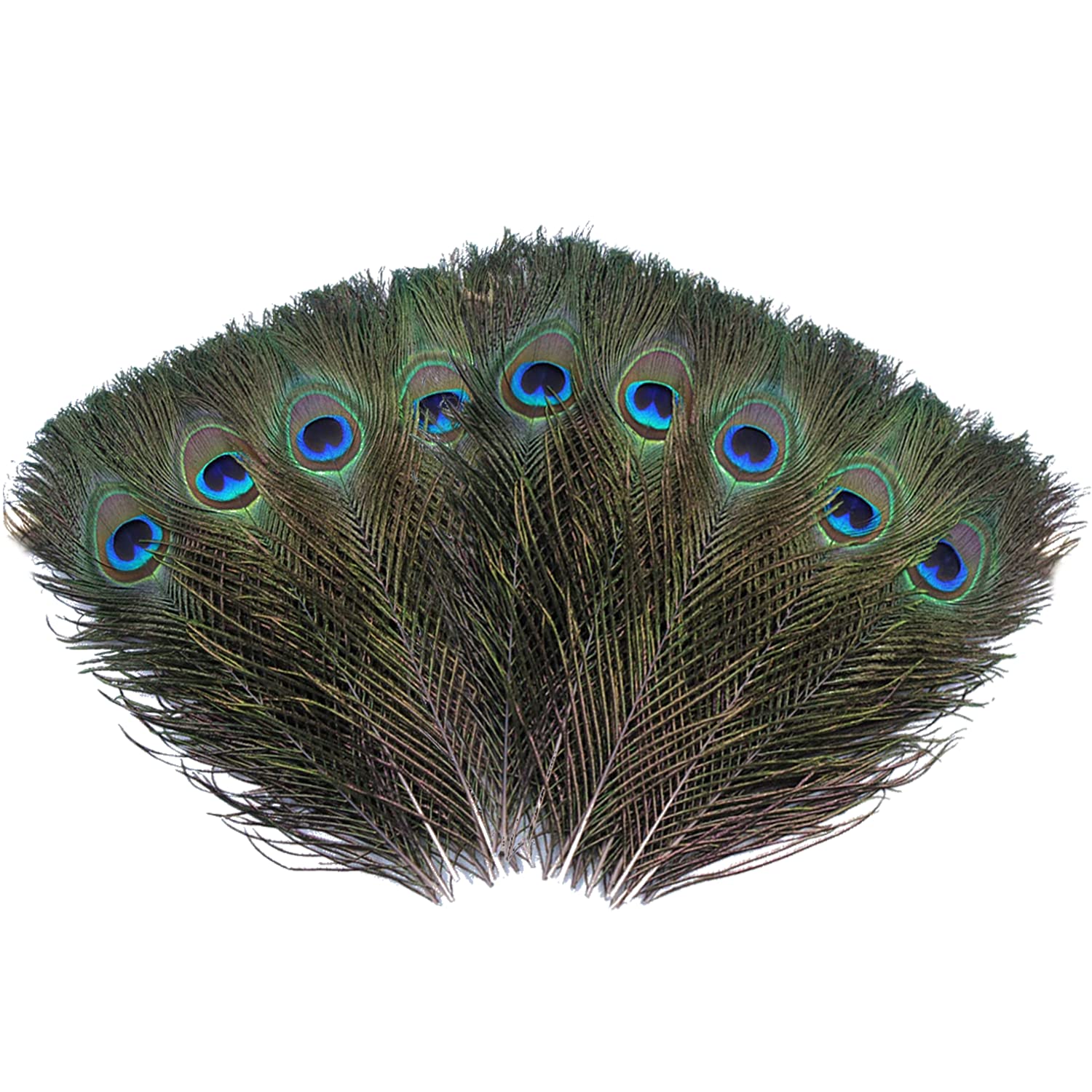 Trimming Shop Real Peacock Feather 15 inches - 18 inches Bird Tail Colourful Feathers Pack for Wedding Christmas Party Centerpiece Decoration, DIY Art & Craft, 50pcs