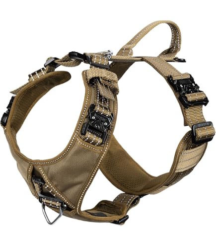 Amazon.com : Buddy Belts Leather Harness Caramel - Premium Edition