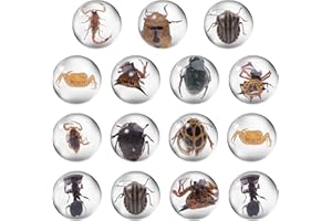 MANOPAWS 15Pcs Insect in Resin Specimen, Bugs in Resin Clear Mini Ball Animal Specimen for Kids Bug Preserved in Resin for Scientific Education School Gifts, Random Styles