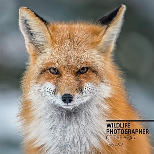 Download Wildlife Photographer of the Year Pocket Diary 2020 PDF