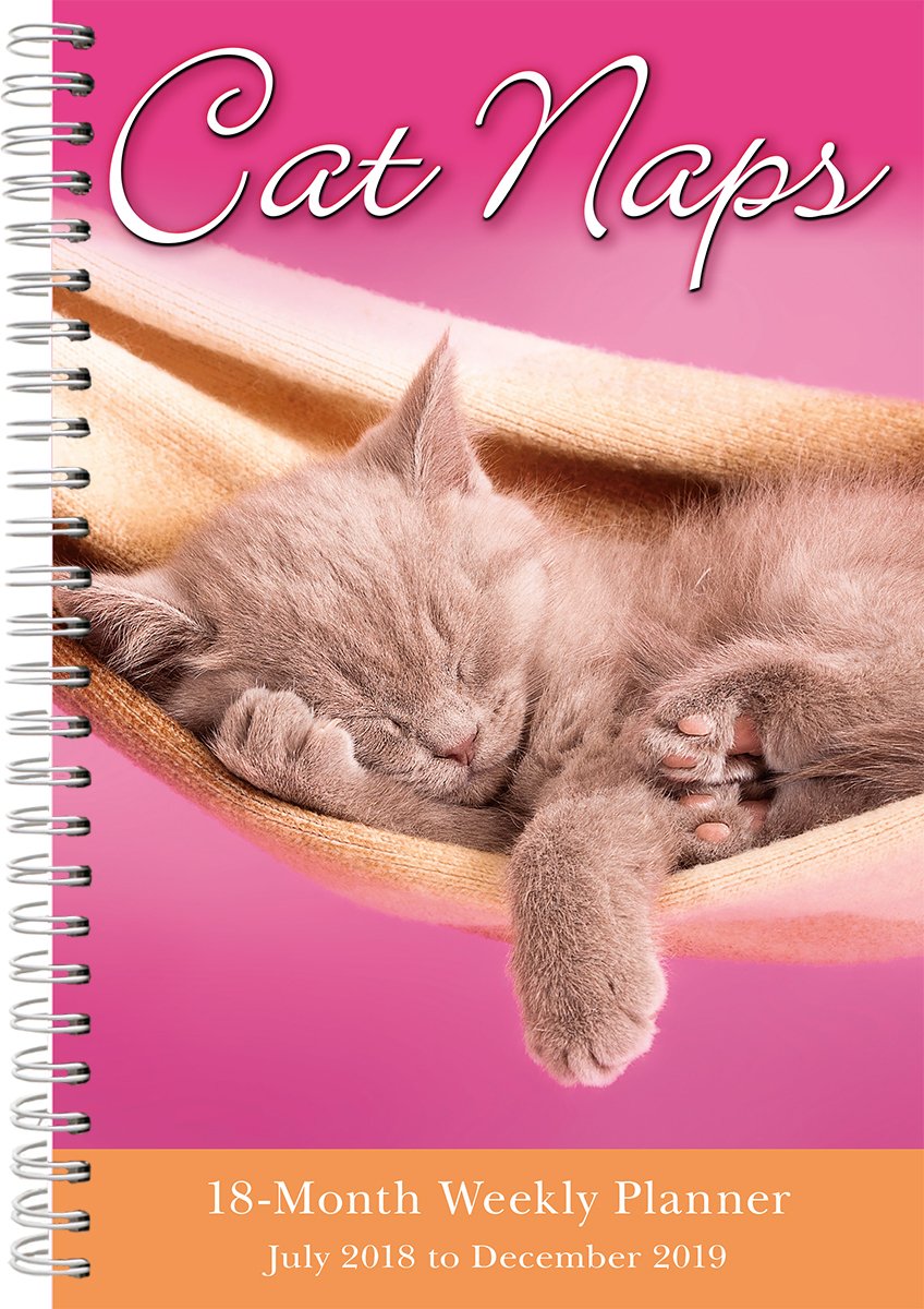 Cat Naps 2019 Weekly Planner