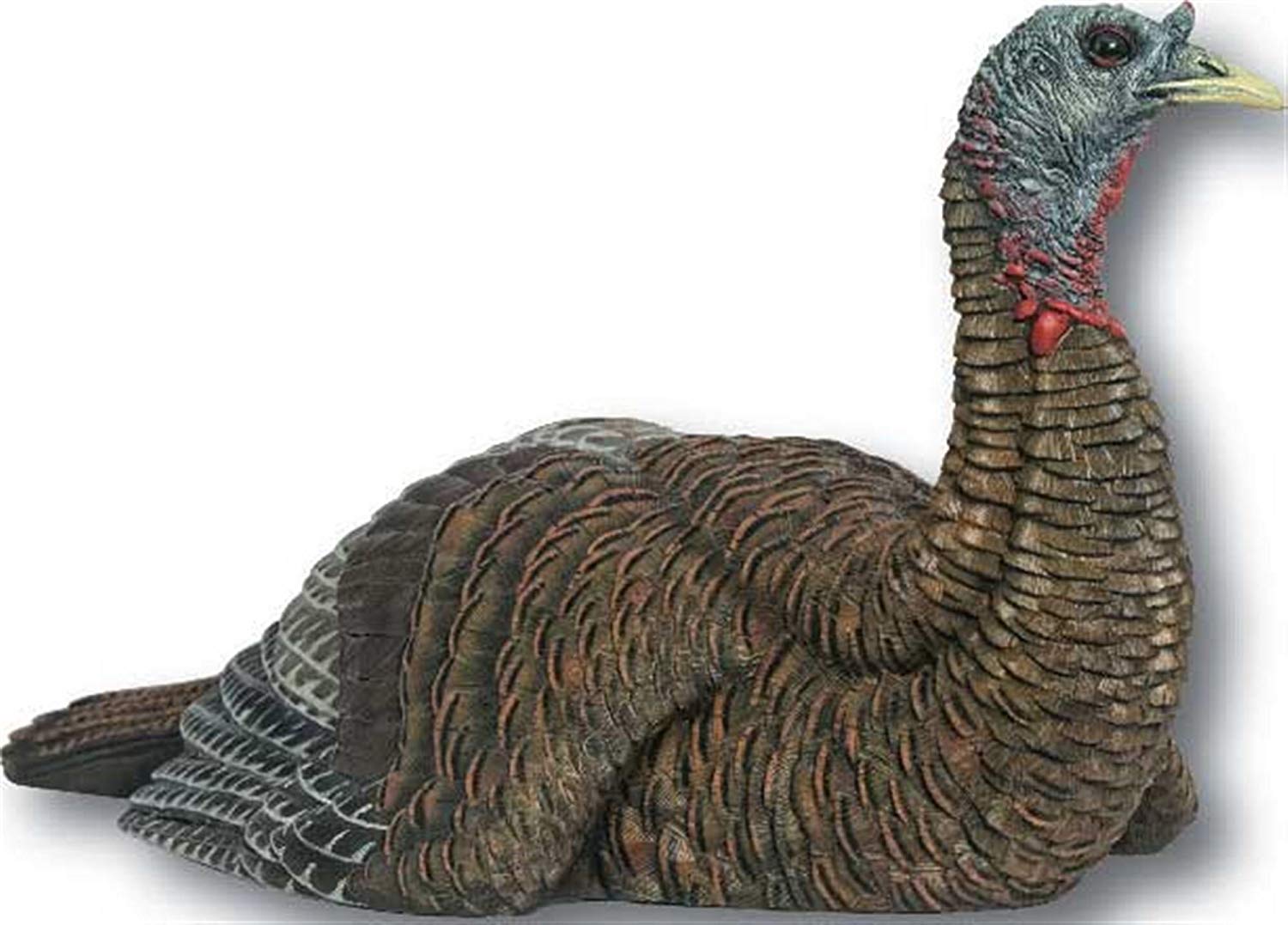 Amazon Com Avian X Laydown Hen Turkey Decoy Pack Of 4 Sports