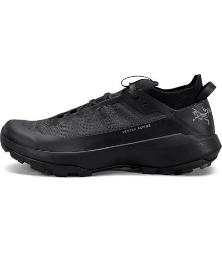 Amazon.com: Arc'teryx Aerios FL GTX Shoe Women's | Fast and Light