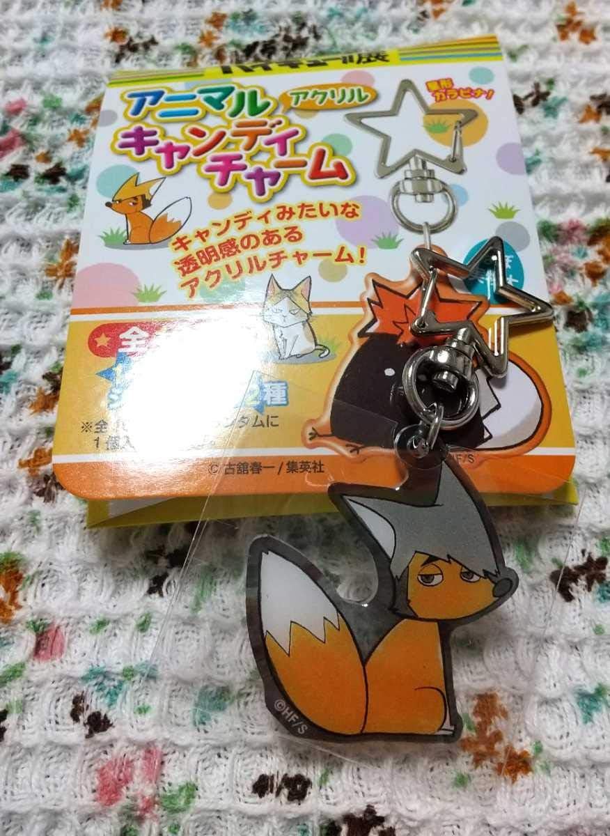 ハイキュー ハイキュー展 東京 アニマルアクリルキャンディチャーム 稲荷崎 宮治 キツネ アニメ 萌えグッズ 通販 Amazon