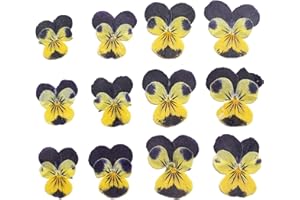 YUNZHI Natural Pansy Dried Pressed Flowers for Resin, Dry Flower for Candle,Epoxy Resin,Soap Making,Scrapbooking,DIY Art Crafts,Painting 12pcs/Pack (Pansy Yellow Purple)
