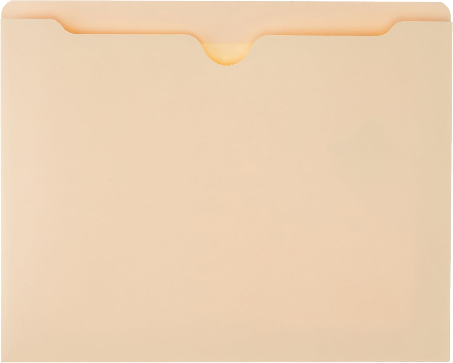 Basics File Folders Jacket, Reinforced Straight-Cut Tab, 2 Inch Expansion, Letter Size, Manila, 50-Pack - AMZ601 : Office Products