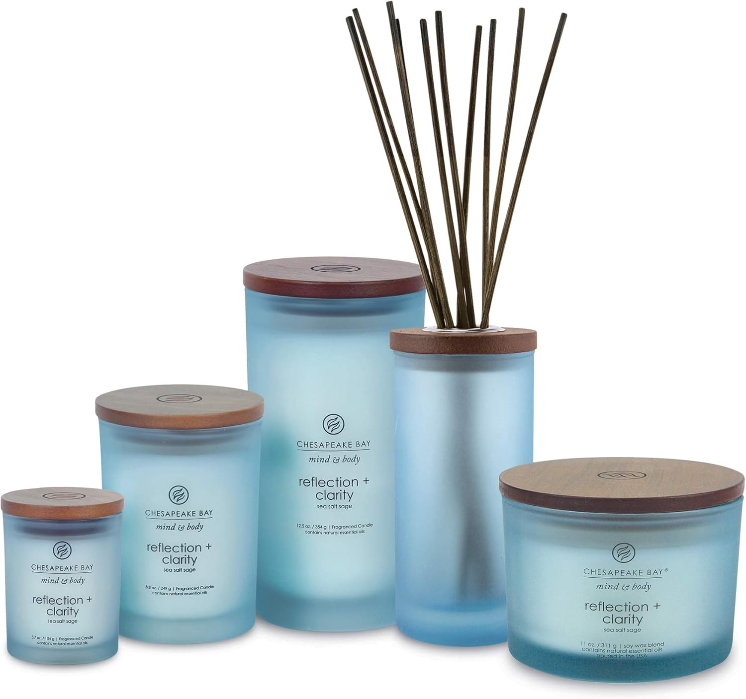 Chesapeake Bay Candle Scented Candle, Reflection + Clarity (Sea Salt Sage), Medium: Home & Kitchen