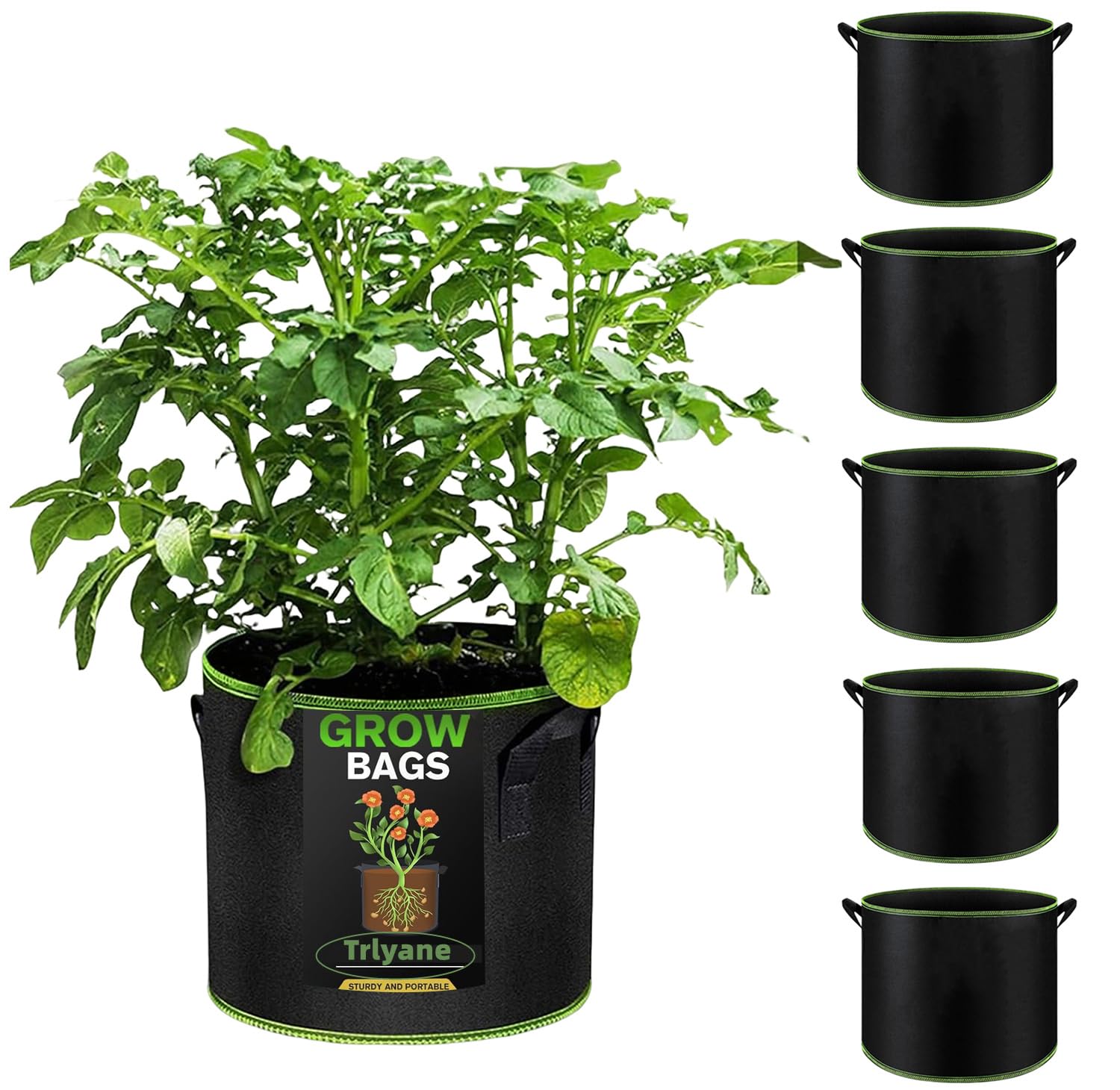 Grow Bags for Vegetables, 6 Pack 10 Gallon Large Growing Bags, Fabric Planter Container for Vegetables Flowers Potato Tomato Carrot Strawberry, Black