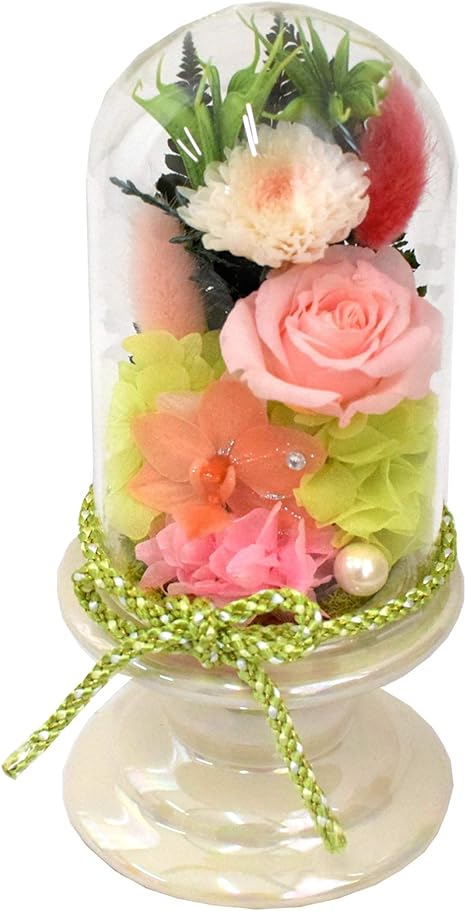Amazon 花由 プリザーブドフラワー 仏花 ガラスドーム 羽乃花 わのか こもも お供え用 マケプレプライム便 プリザーブドフラワー オンライン通販