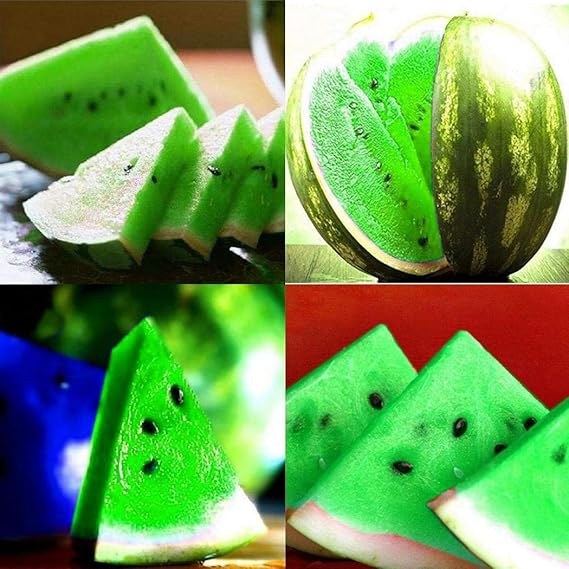 Ultrey Samenshop - 10 Stück Seltene Wassermelone Samen zuckersüss Melonen Essbar mehrfarbig Früchte und Obst Samen 5 Farben f