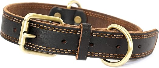 dog collars with 2 d rings