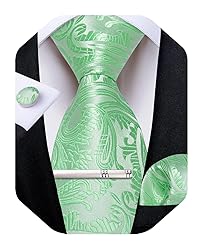 DiBanGu Silk Paisley Ties for Men Woven Necktie and