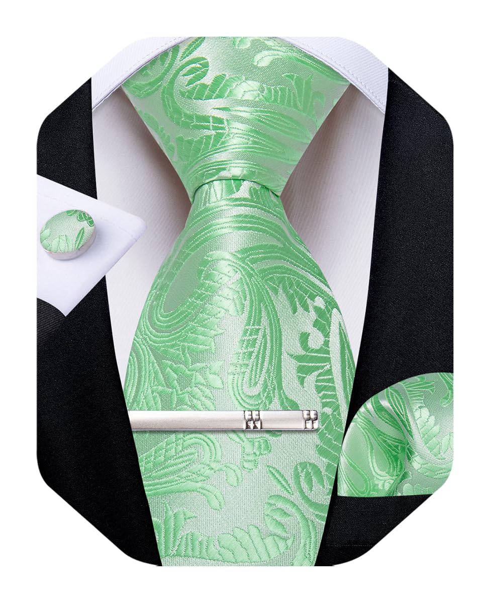 DiBanGu Silk Paisley Ties for Men Woven Necktie and